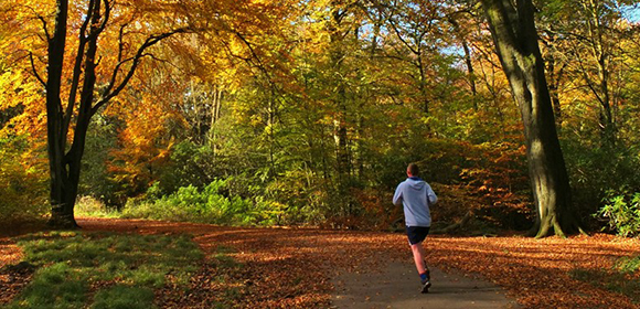 man running in the park